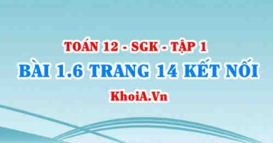 Bài 1.6 trang 14 Toán 12 tập 1 Kết nối tri thức